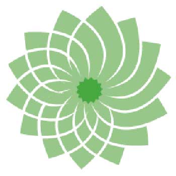 green-party.jpg