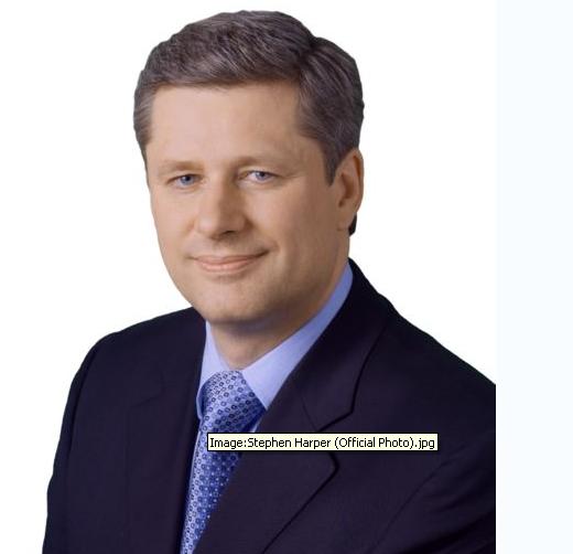 harper.jpg